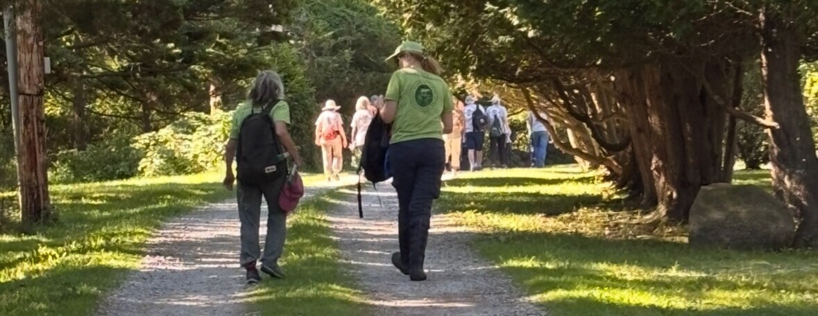 Walk the Let: Warm Weather Edition